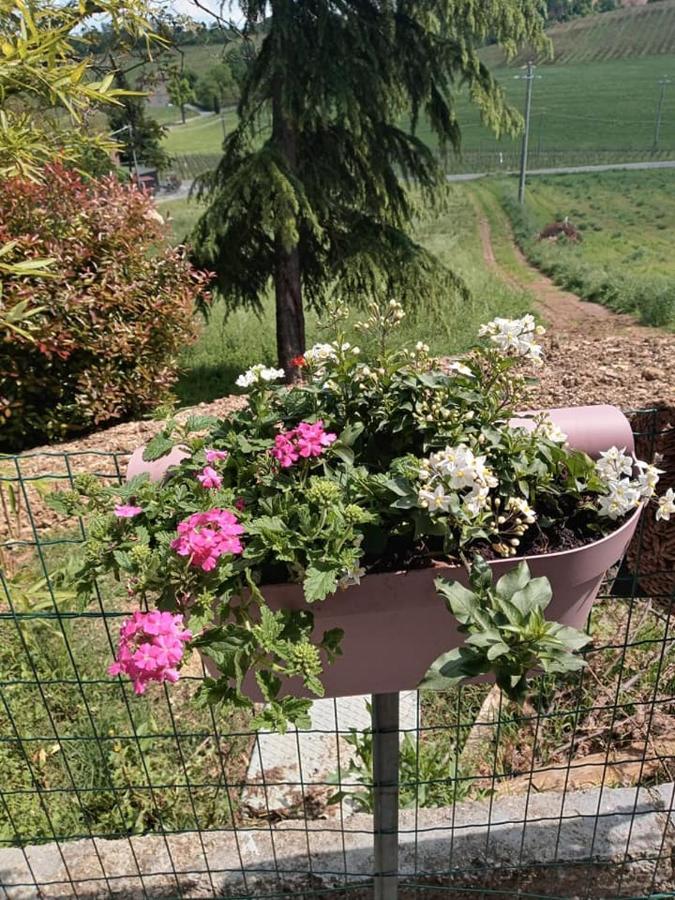 Bed and Breakfast Bb Lady Castelvetro di Modena Exterior foto