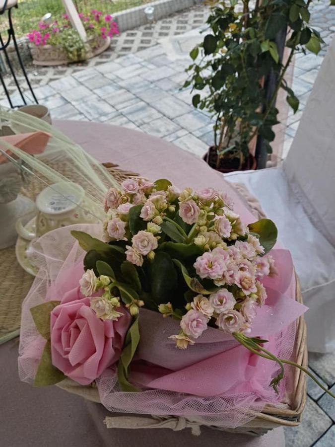 Bed and Breakfast Bb Lady Castelvetro di Modena Exterior foto